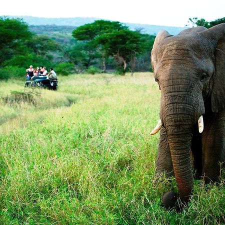 Thula Thula Exclusive Private Game Reserve & Lodge Ntambanana Exterior foto