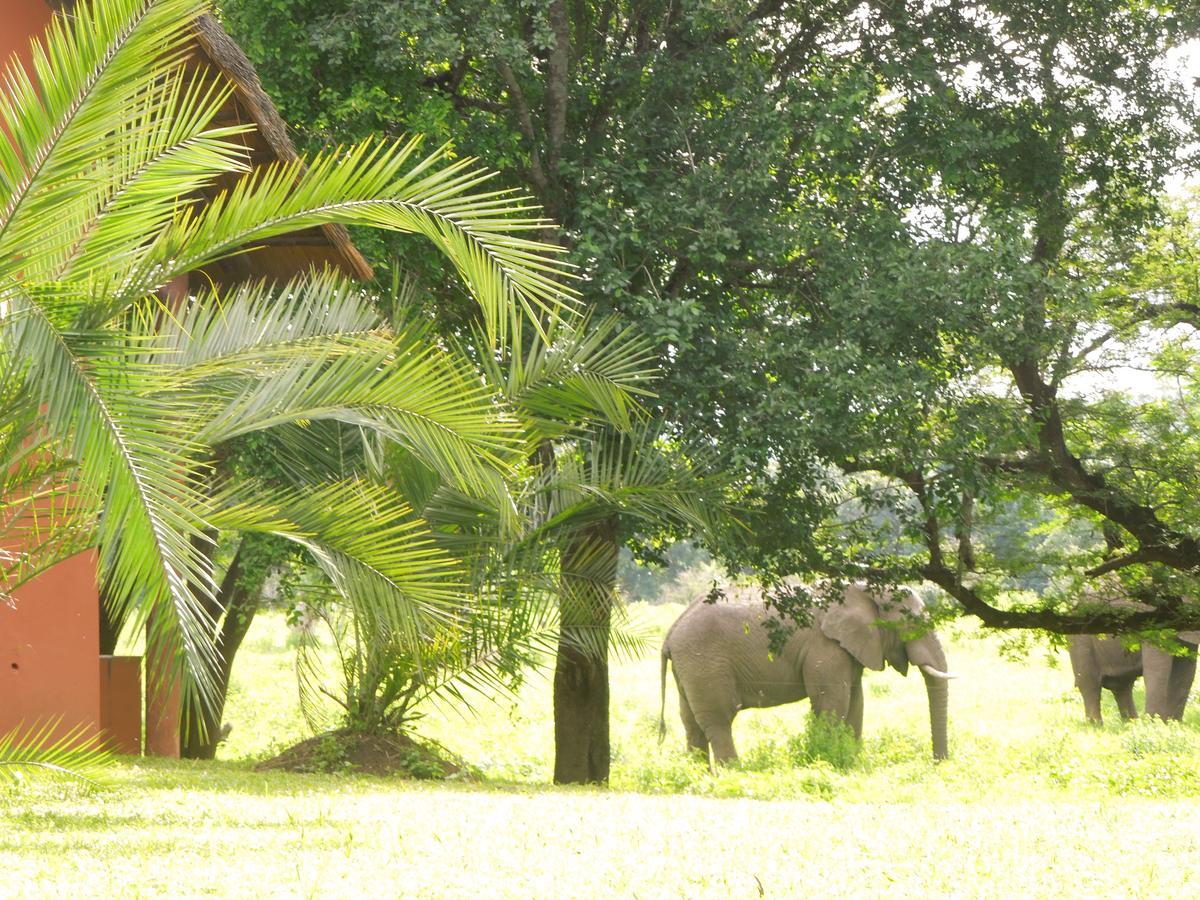 Thula Thula Exclusive Private Game Reserve & Lodge Ntambanana Exterior foto