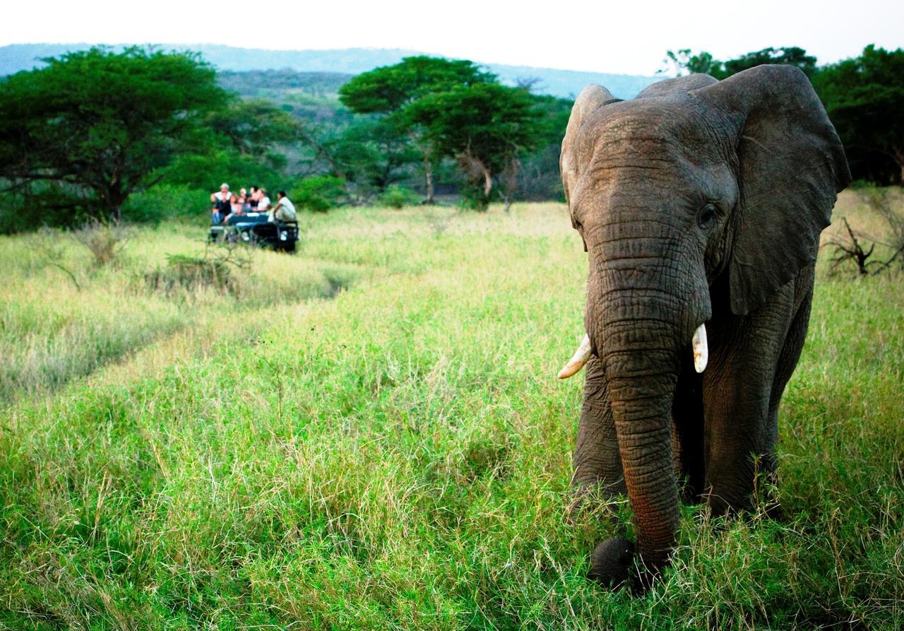 Thula Thula Exclusive Private Game Reserve & Lodge Ntambanana Exterior foto