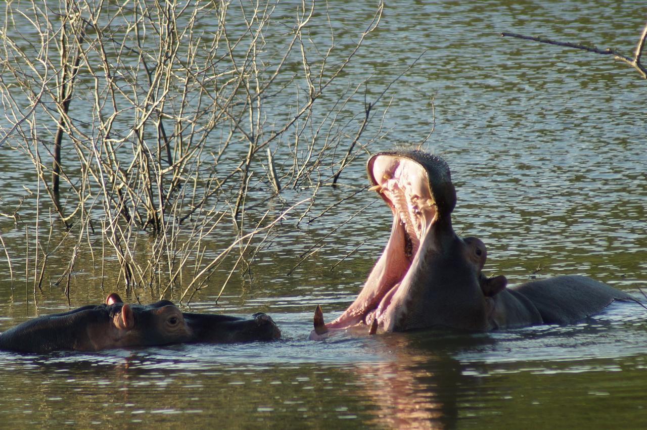 Thula Thula Exclusive Private Game Reserve & Lodge Ntambanana Exterior foto