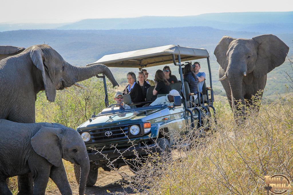 Thula Thula Exclusive Private Game Reserve & Lodge Ntambanana Exterior foto